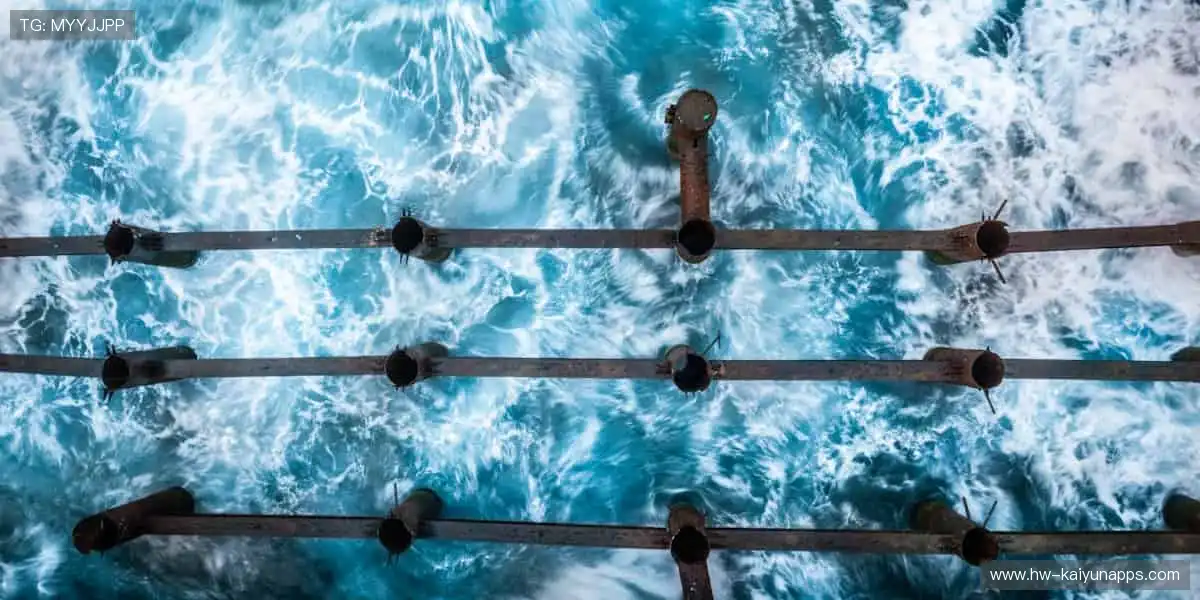 🔥 热血赛场，每一秒都在创造奇迹！⚽️